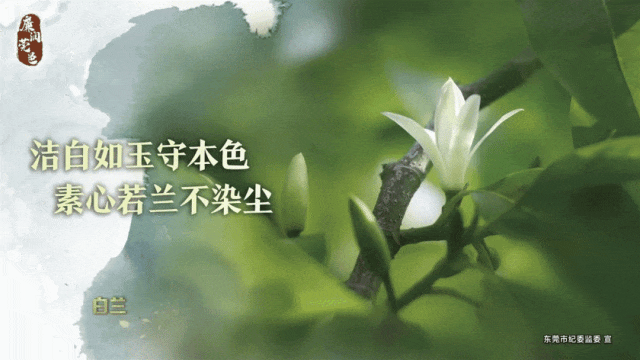 如何选择适合篮球康复训练的器材_1